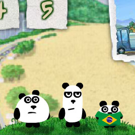 3 панды в Бразилии