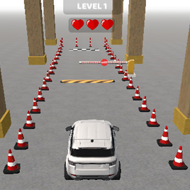 Реальная 3Д парковка