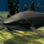 Игра Игра Белая акула
