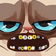 Игра Игра Сердитый кот лечит зубы