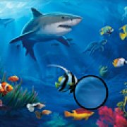 Игра Игра Подводная рыба: скрытые буквы