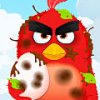 Игра Игра Angry birds: Ред спасает яйцо